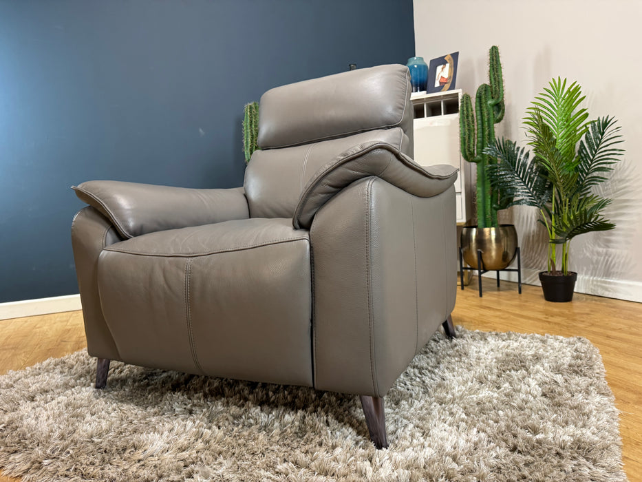 The Arlo Leather Chair - Trusty Embossed Elephant - Power Headrest Power Recliner (WA2)