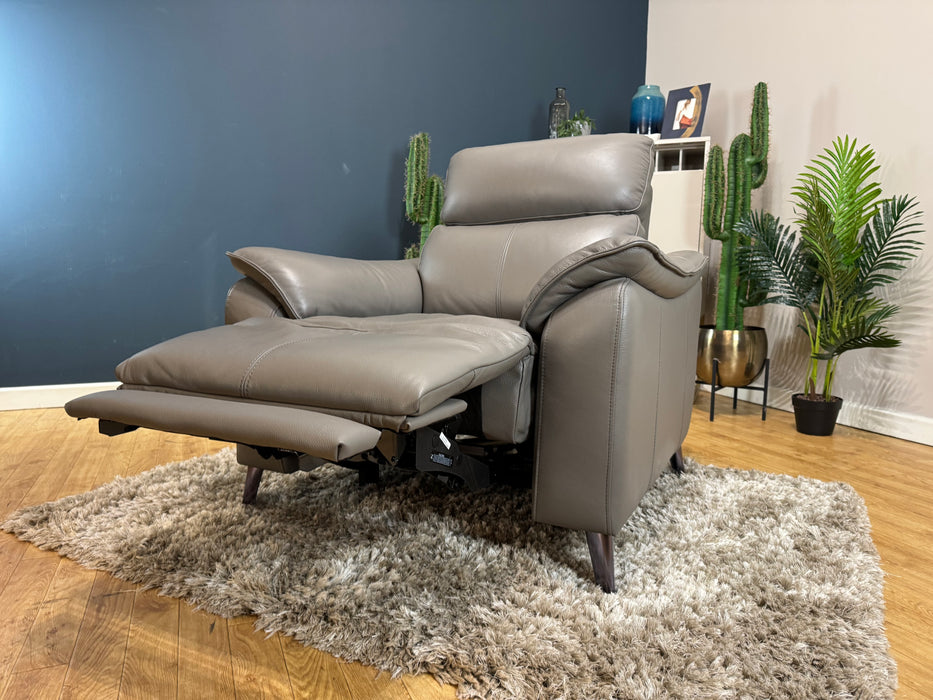 The Arlo Leather Chair - Trusty Embossed Elephant - Power Headrest Power Recliner (WA2)