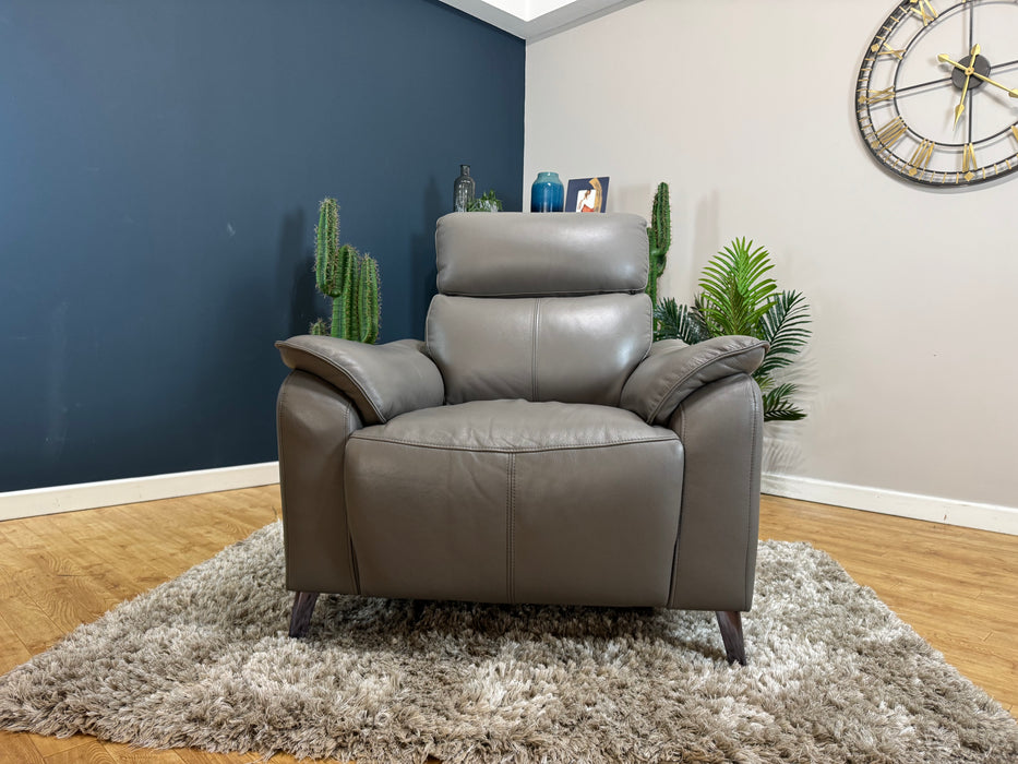 The Arlo Leather Chair - Trusty Embossed Elephant - Power Headrest Power Recliner (WA2)