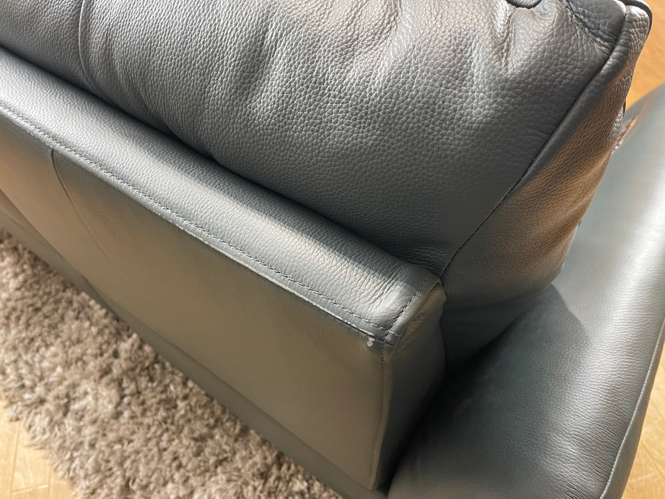 Renato 2 Seater - Trusty Embossed Leather Peacock - Power Recliner (WA2)