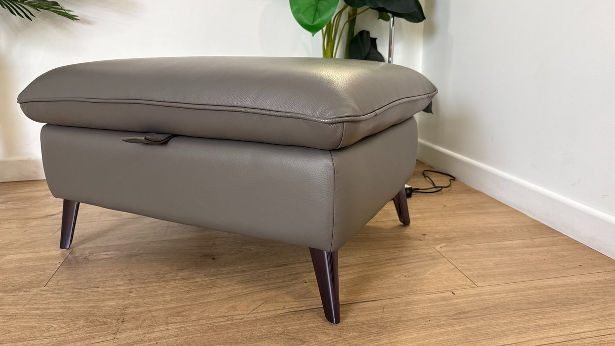 Sofology The Arlo Leather Designer Storage Footstool in Trusty Embossed Elephant