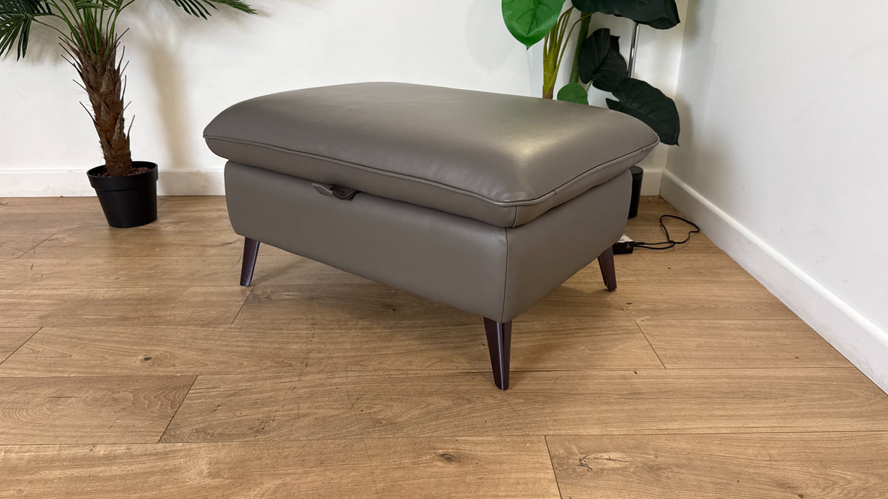 Sofology The Arlo Leather Designer Storage Footstool in Trusty Embossed Elephant