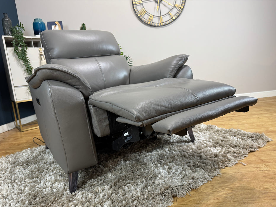 The Arlo Leather Chair - Trusty Embossed Elephant - Power Headrest Power Recliner (WA2)